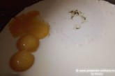 Budincă de tapioca cu apă de trandafiri Image 3