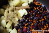 Rață cu sos Marsala și fructe de pădure Image 1